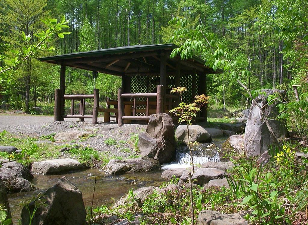 מטסומוטו Alpine Inn Mizushiro מראה חיצוני תמונה