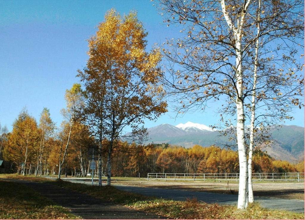 מטסומוטו Alpine Inn Mizushiro מראה חיצוני תמונה